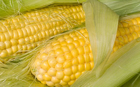 corn׿ɔ(sh)